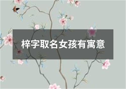 梓字取名女孩有寓意