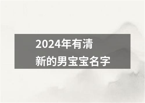 2024年有清新的男宝宝名字