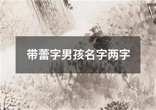 带蕾字男孩名字两字