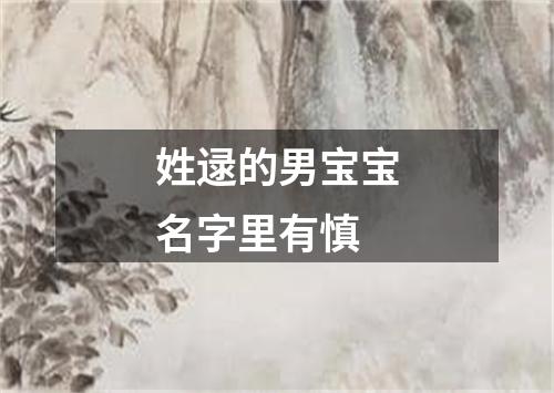 姓逯的男宝宝名字里有慎