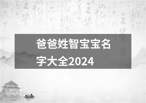 爸爸姓智宝宝名字大全2024