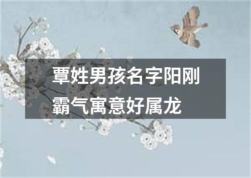 覃姓男孩名字阳刚霸气寓意好属龙