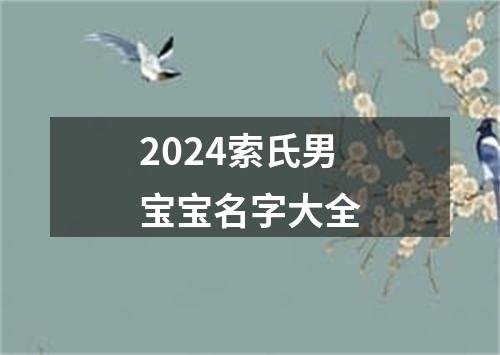 2024索氏男宝宝名字大全