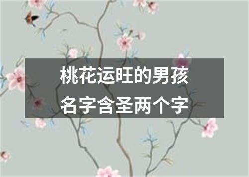 桃花运旺的男孩名字含圣两个字