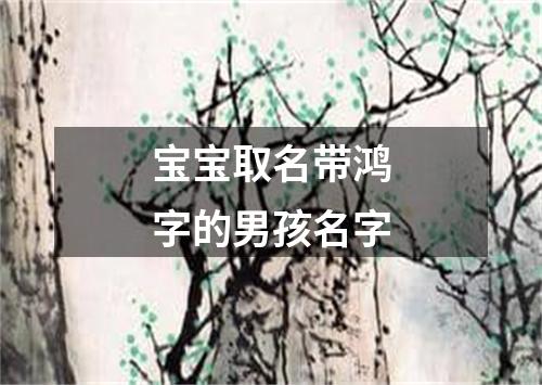 宝宝取名带鸿字的男孩名字