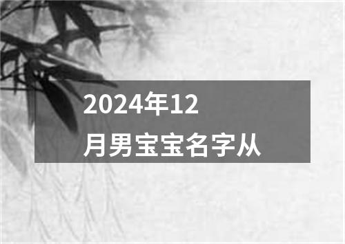 2024年12月男宝宝名字从