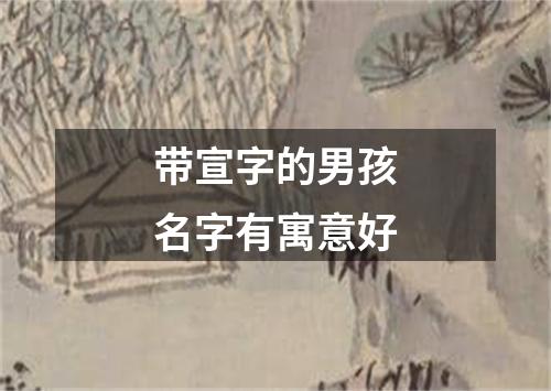 带宣字的男孩名字有寓意好