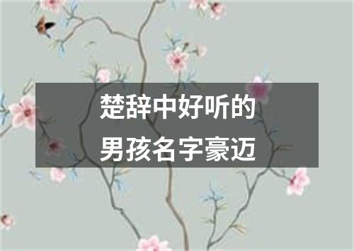 楚辞中好听的男孩名字豪迈