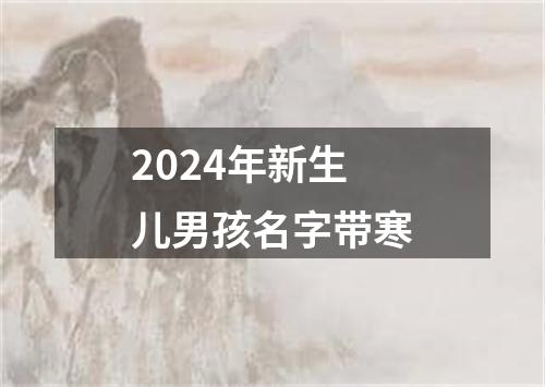 2024年新生儿男孩名字带寒