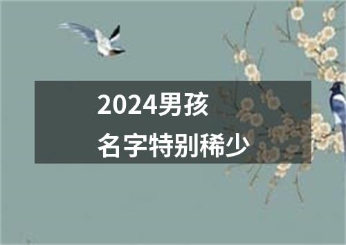 2024男孩名字特别稀少