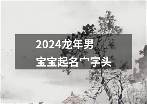 2024龙年男宝宝起名宀字头