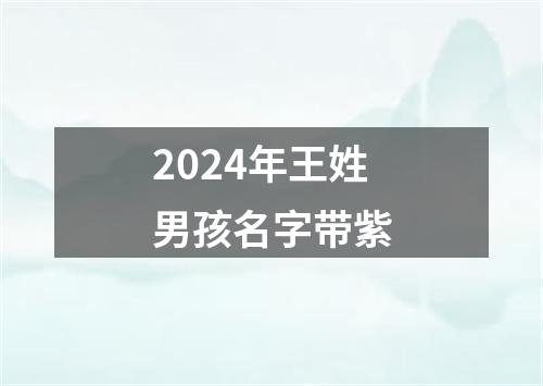 2024年王姓男孩名字带紫