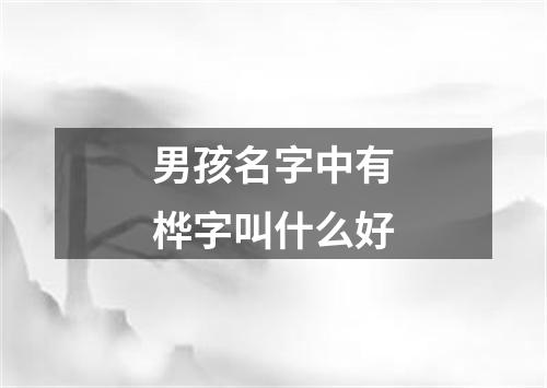 男孩名字中有桦字叫什么好