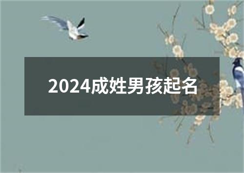 2024成姓男孩起名