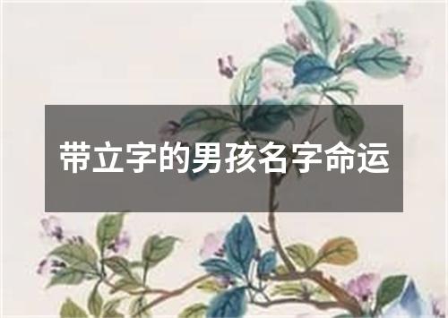 带立字的男孩名字命运