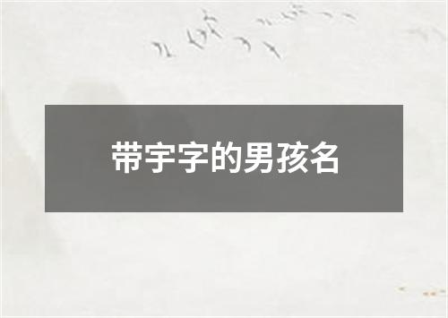 带宇字的男孩名