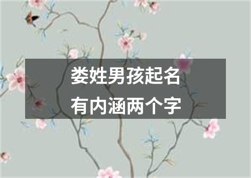 娄姓男孩起名有内涵两个字