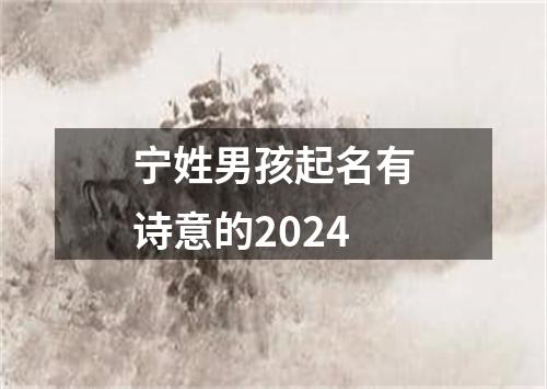 宁姓男孩起名有诗意的2024