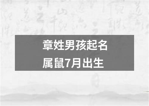 章姓男孩起名属鼠7月出生