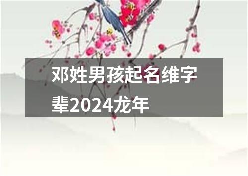 邓姓男孩起名维字辈2024龙年