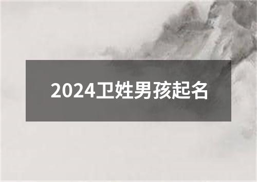 2024卫姓男孩起名