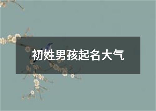 初姓男孩起名大气