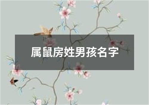 属鼠房姓男孩名字