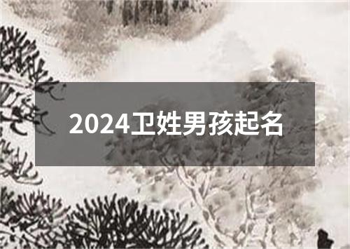 2024卫姓男孩起名