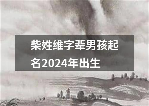 柴姓维字辈男孩起名2024年出生