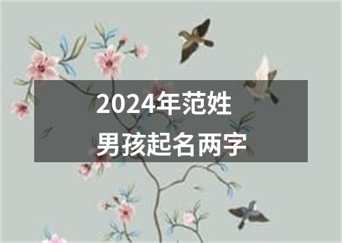 2024年范姓男孩起名两字