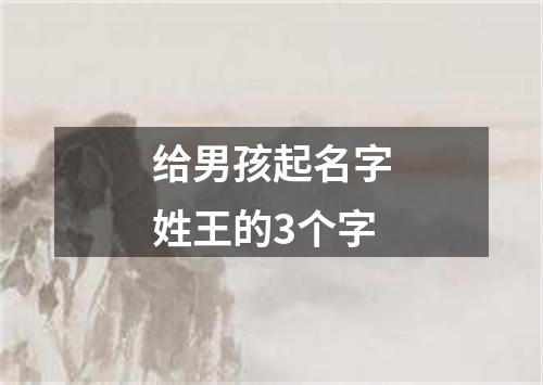 给男孩起名字姓王的3个字