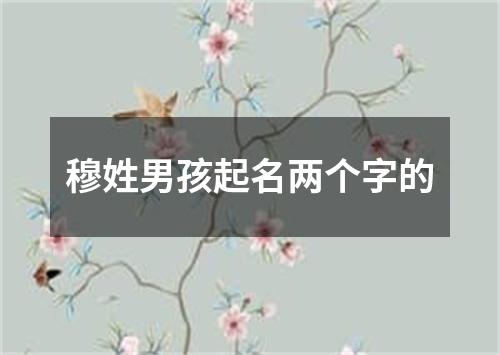 穆姓男孩起名两个字的