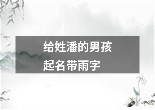 给姓潘的男孩起名带雨字