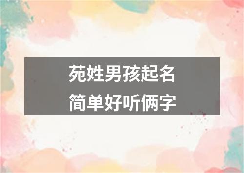 苑姓男孩起名简单好听俩字