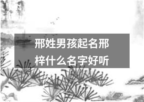 邢姓男孩起名邢梓什么名字好听