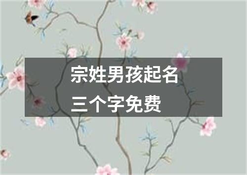 宗姓男孩起名三个字免费