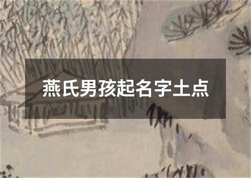 燕氏男孩起名字土点