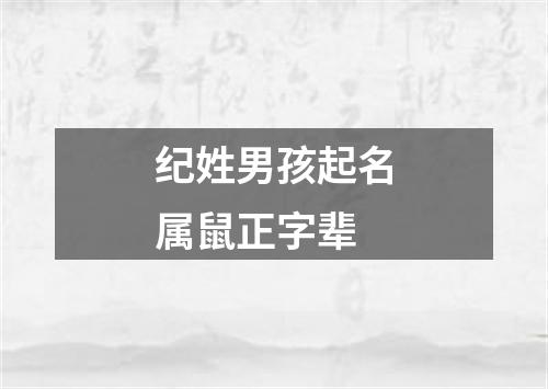 纪姓男孩起名属鼠正字辈