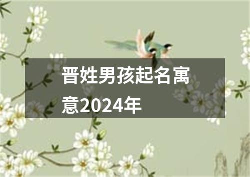 晋姓男孩起名寓意2024年