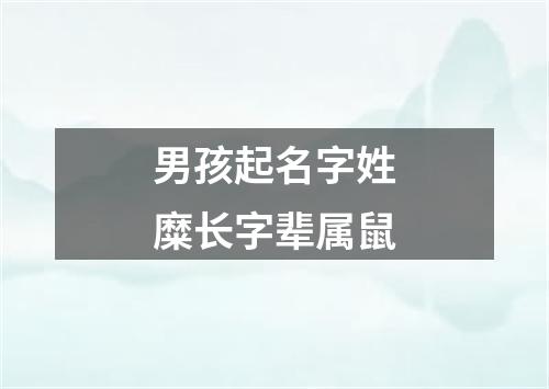 男孩起名字姓糜长字辈属鼠