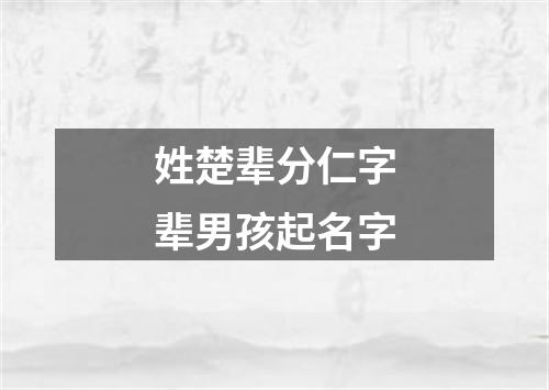 姓楚辈分仁字辈男孩起名字