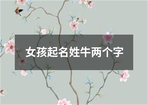 女孩起名姓牛两个字