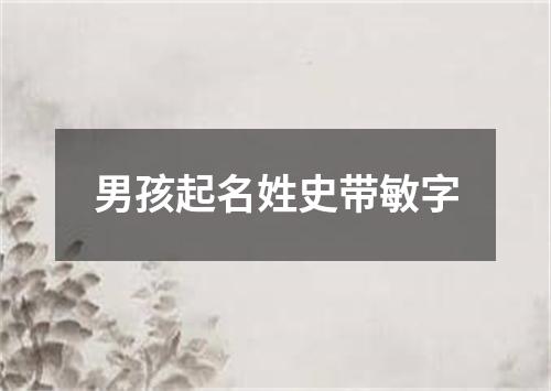 男孩起名姓史带敏字