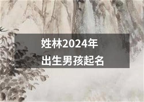 姓林2024年出生男孩起名