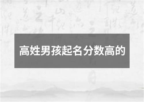 高姓男孩起名分数高的