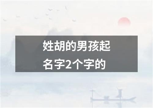 姓胡的男孩起名字2个字的