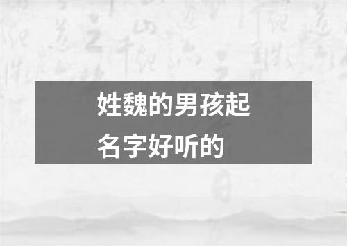 姓魏的男孩起名字好听的