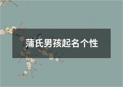 蒲氏男孩起名个性