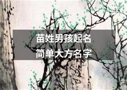 苗姓男孩起名简单大方名字