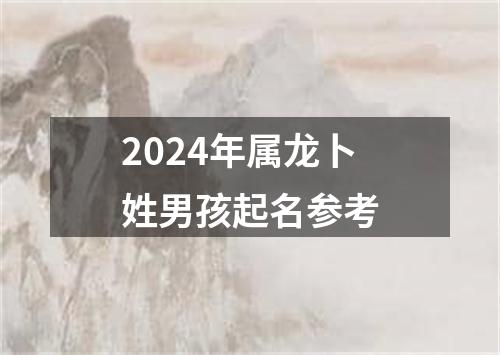 2024年属龙卜姓男孩起名参考